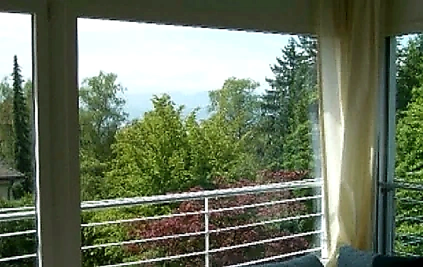 Modernes Wohnen am Zürichberg, Zürich: Foto 3