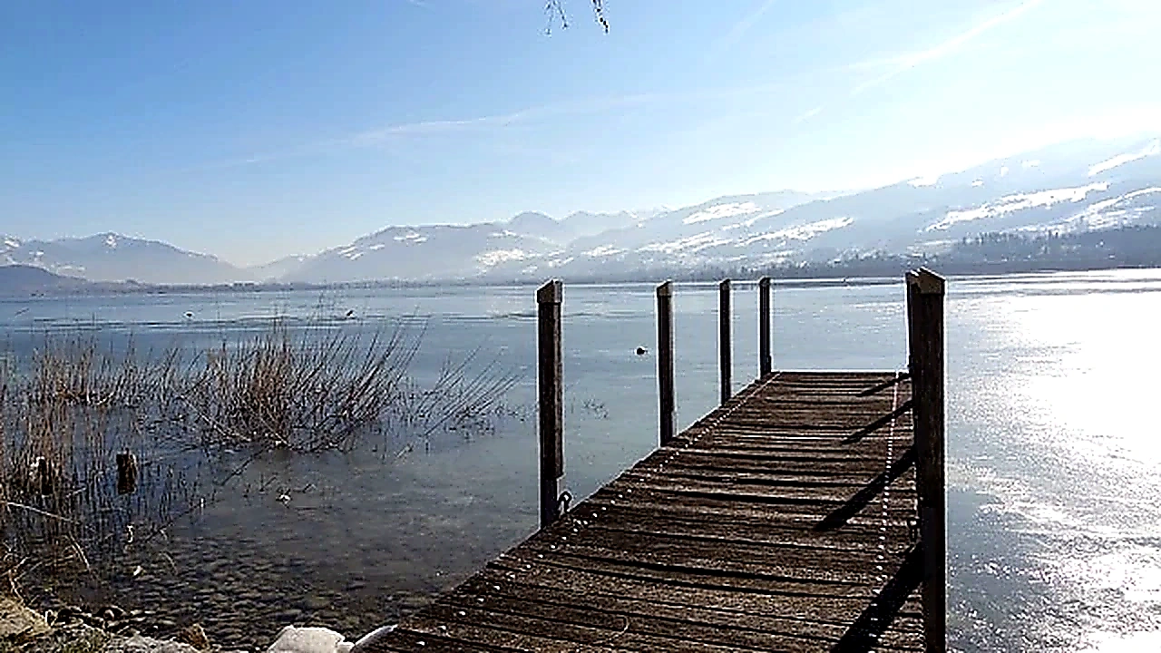Seeobjekt mit privatem Steg, Hurden: Foto 2